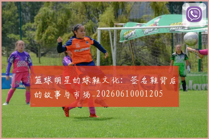 篮球明星的球鞋文化：签名鞋背后的故事与市场_20260610001205